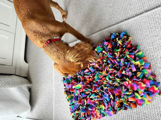 How Do You Use a Snuffle Mat?