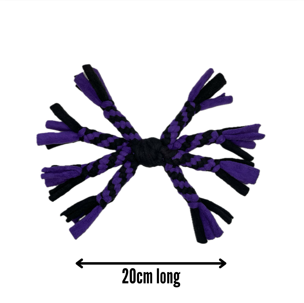 Small Spider Toy