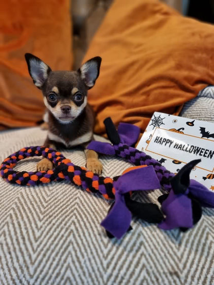 Halloween - Small Loop Tug Toy - CanineCraftsUK