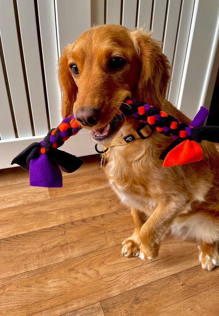 Halloween - Medium Spiral Tug - CanineCraftsUK